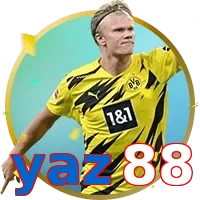 yaz88