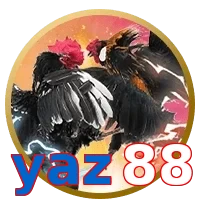 yaz88