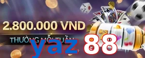 yaz88