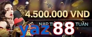yaz88