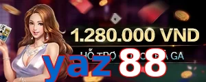 yaz88