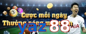 yaz88